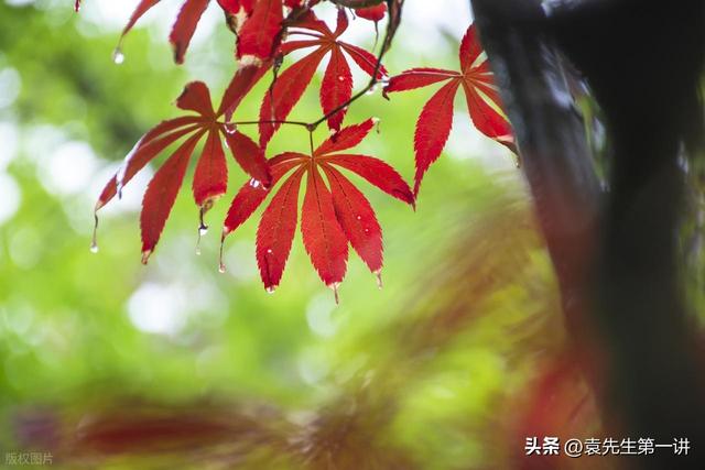 明日立秋，提醒大家：无论多忙，1不睡、2不吹、3不出、4不贴！