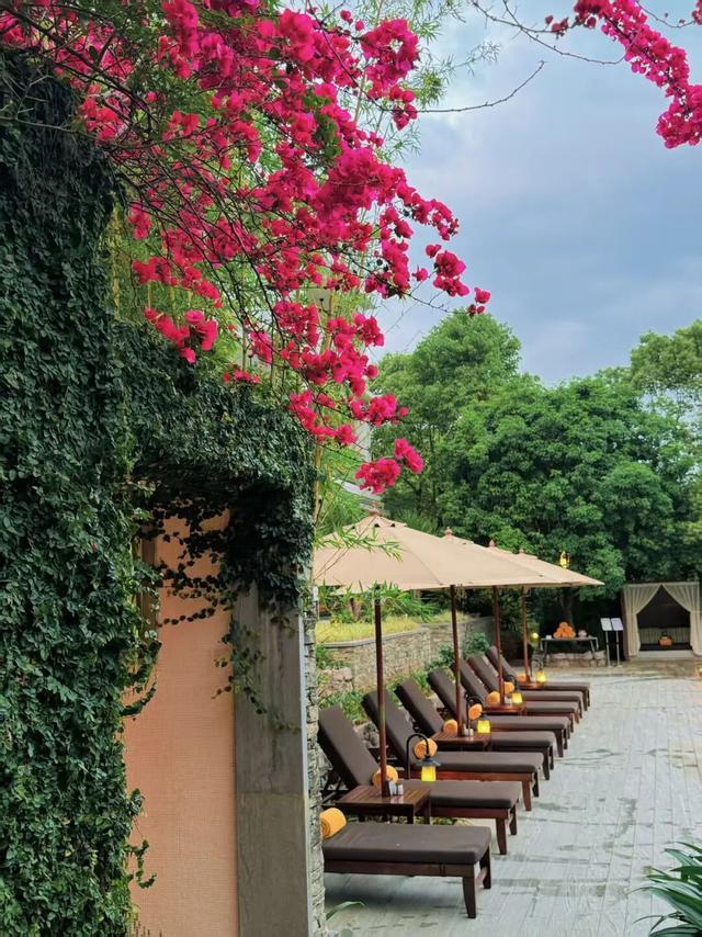 微视点 | 阳朔：“三化”赋能山水秀 生态变现百姓富