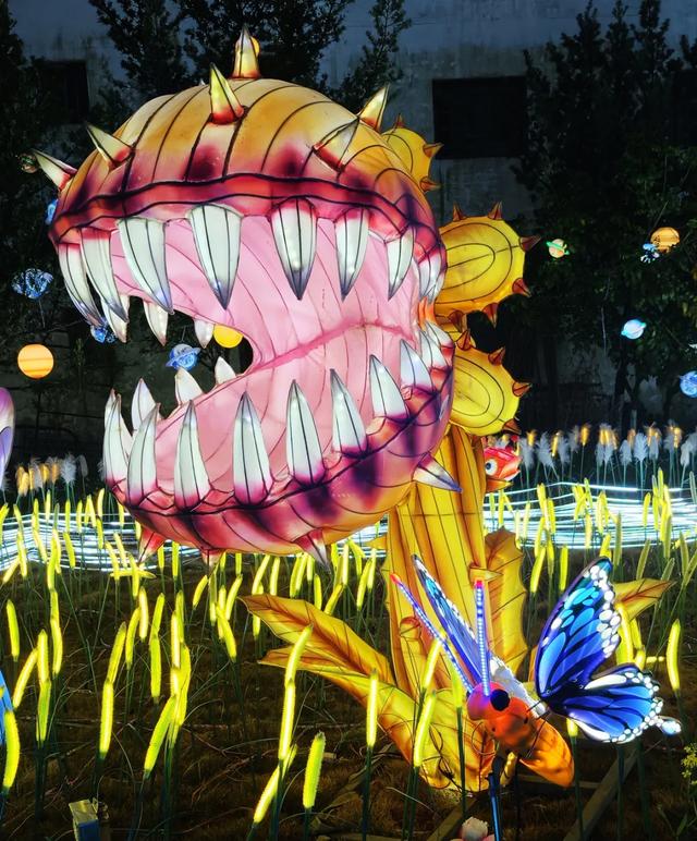 桂林：首届非遗千灯游园，光影艺术璀璨盛宴！