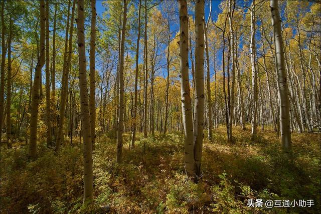 老蛙12mm F2.8 Zero-D 评测——一款存在明显妥协的超超广角定焦镜头