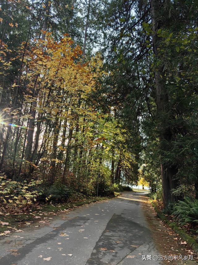 温哥华游记（四）