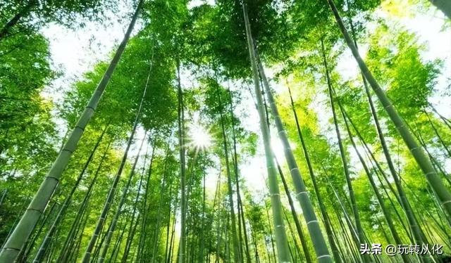 从化户外图鉴 | 精品线路承包你的山野快乐！