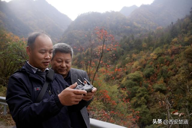 我是周至的寄信人，正寄出你最想收到的那封山河彩信