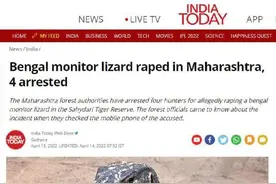 印度，一个大国的前世今生图片