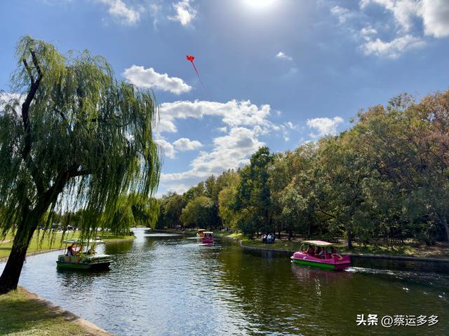 重阳节，上海赏秋之美