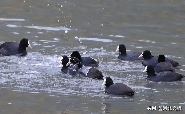 秋天的溢泉湖流光溢彩，将浪漫与温馨装满