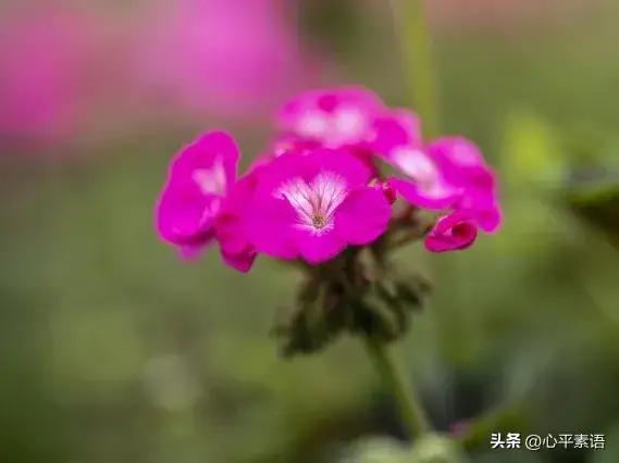 让找茬的人不敢惹你的6个绝招！