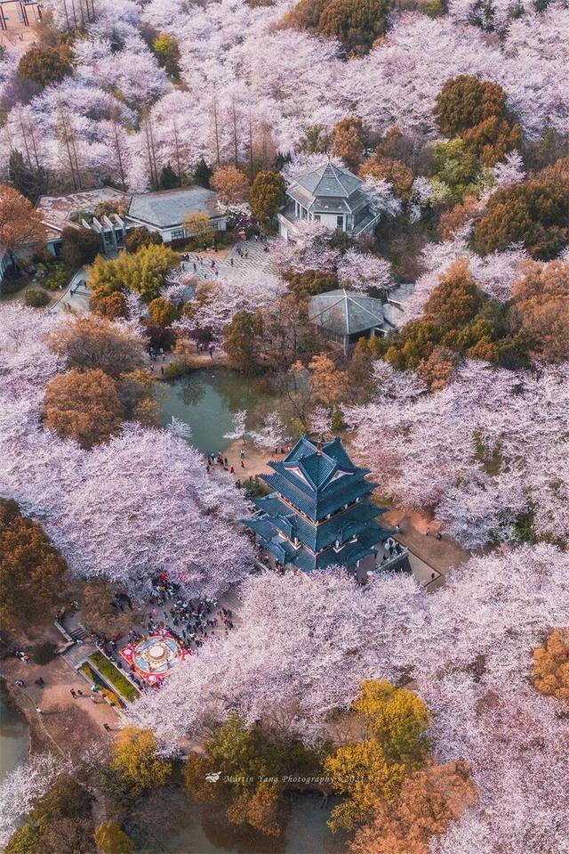 3 月旅行地推荐！这17 个地方春暖花开美到不像话，第一个直接心动