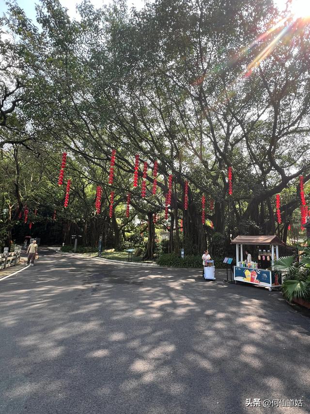 节日里的白云山