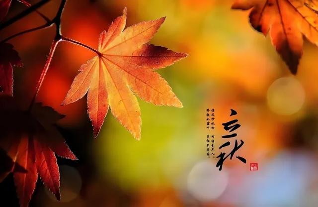 张效忠：立秋（外一首）