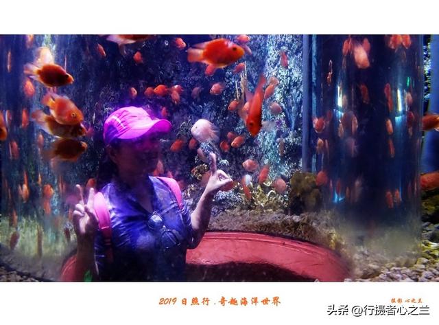 山东行游影记（90）—日照奇趣海洋世界（一）