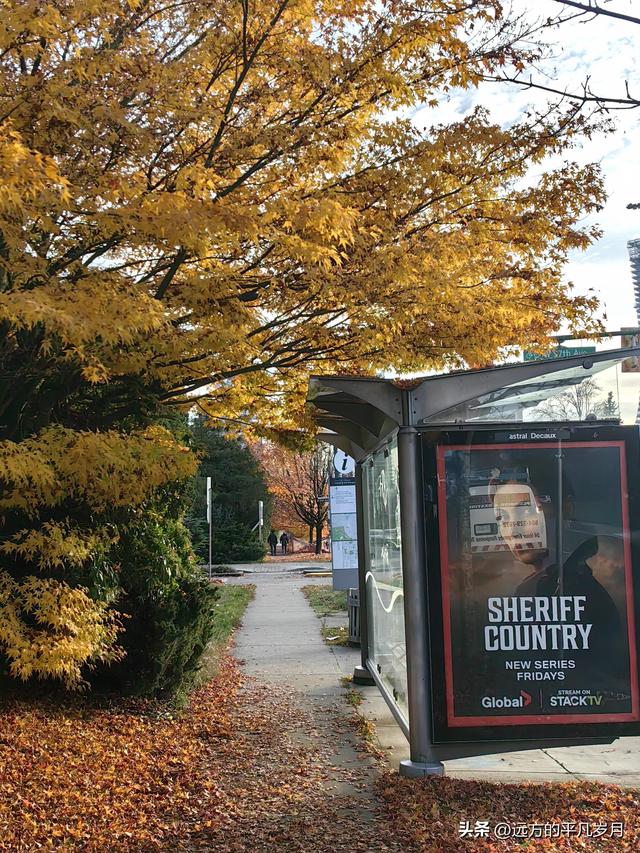 温哥华游记（六）