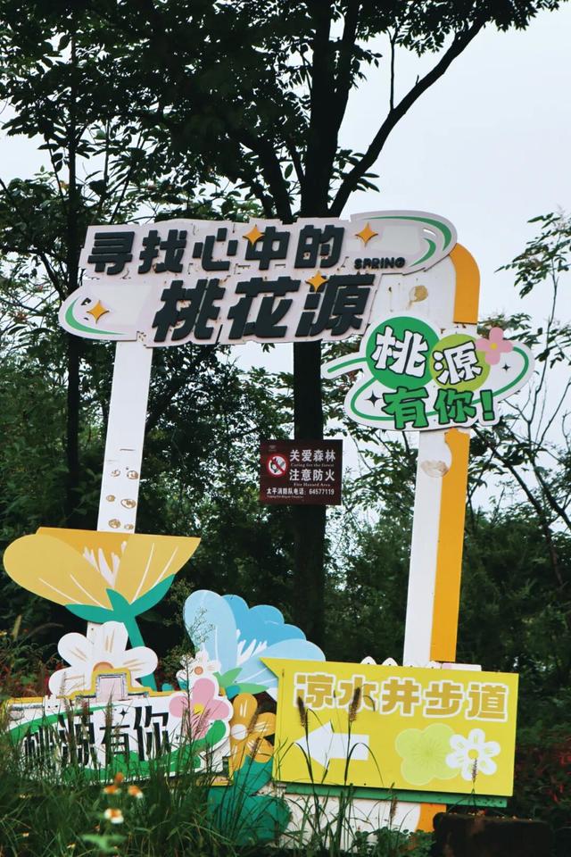 公交可达！实测初秋成都小众徒步线路，溜娃采摘逛老街！