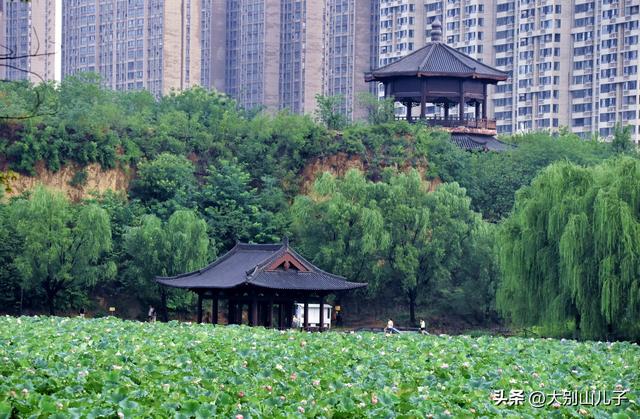 郑州西流湖风光