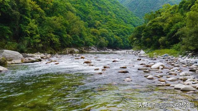 初秋限定美景，在黑河，听见了风与水的私语