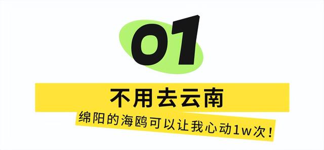 周末就冲！成都出发40min直达浪漫小城，喂海鸥逛古寺！