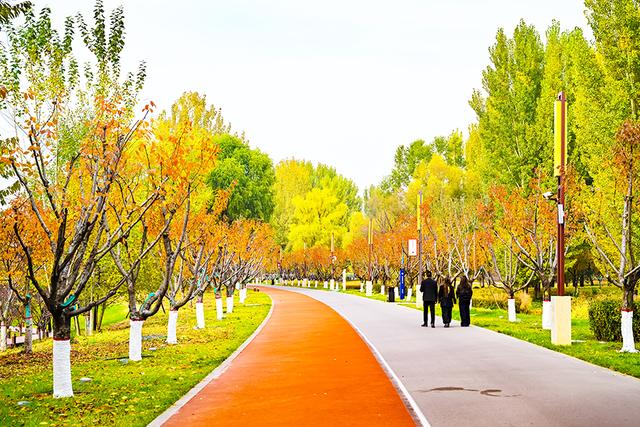 “醉”秋上线！潞州区美翻了