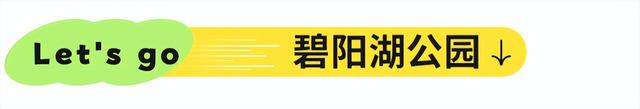 避开人潮！高铁直达20℃冷门小城，花海美过川西、地质景观顶级！16元炫资格美食！