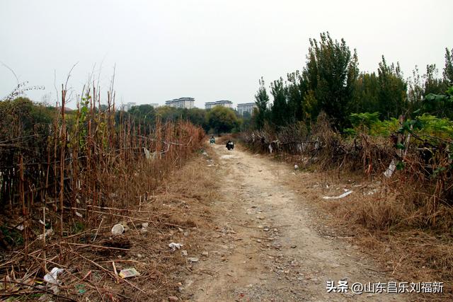 小丹河(老坝河水库西段)立冬那天的风光
