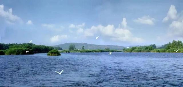 “曹洼大集”烟火逛吃+周边景区串联，去赶集啦！