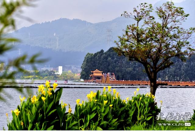 东风坝开合浮桥打个卡