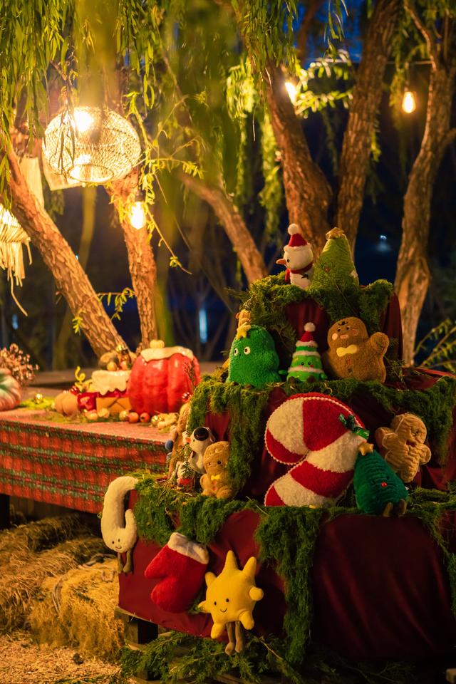 青岛宝藏露营地~私藏的野奢营地乌托邦！