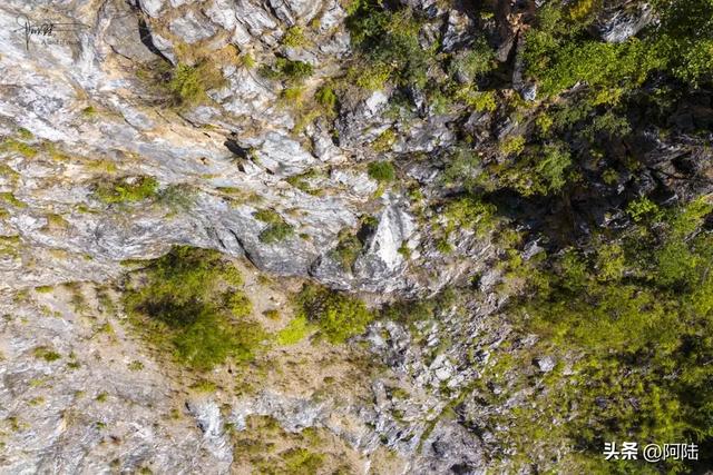 独立悬崖之巅,俯瞰壮美金沙江,尽情领略其“如玉”的一面