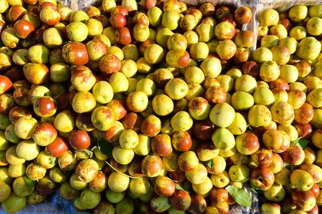 秋色满筐 早市上的色彩交响