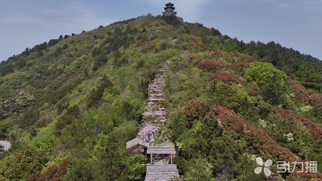 日出配早餐，小岛加仙山，苏州这条线路治愈力MAX