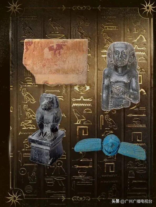 广州多家博物馆宣布：每月免费开放一天