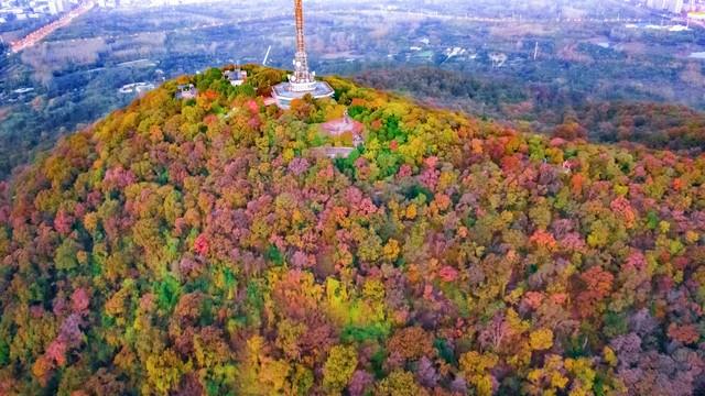 赶在降温前，把这十个景点红枫杏叶留下今年足迹，再访只待来年！