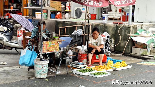 广州南沙金洲，一个充满市井生活气息的地方……