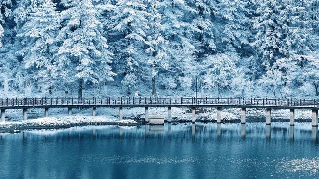 大雪将连下四天！明月山“超长待机”雪季来啦！