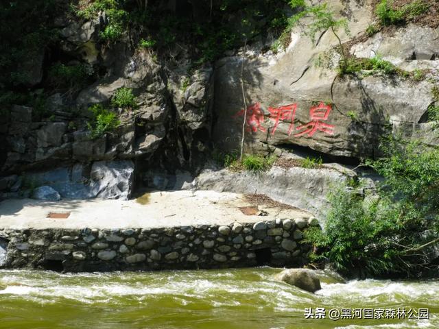 这个夏天,凉爽黑河等风也等你