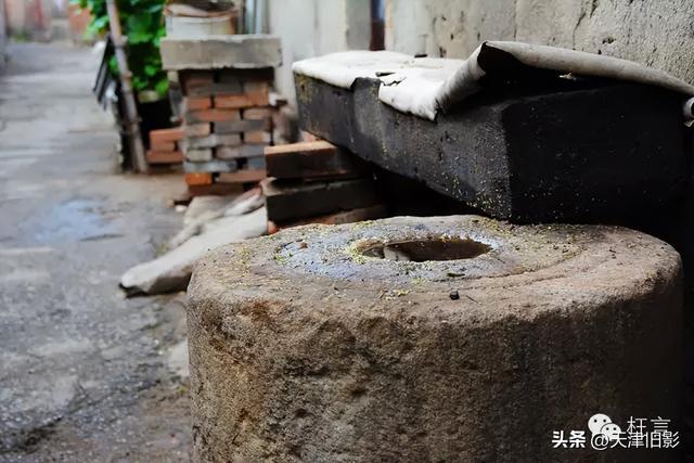 2015年的西沽