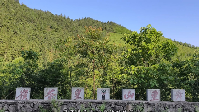 舜帝三临的"南方植物王国"：藏着长征记忆与千年茶香的"大山里"