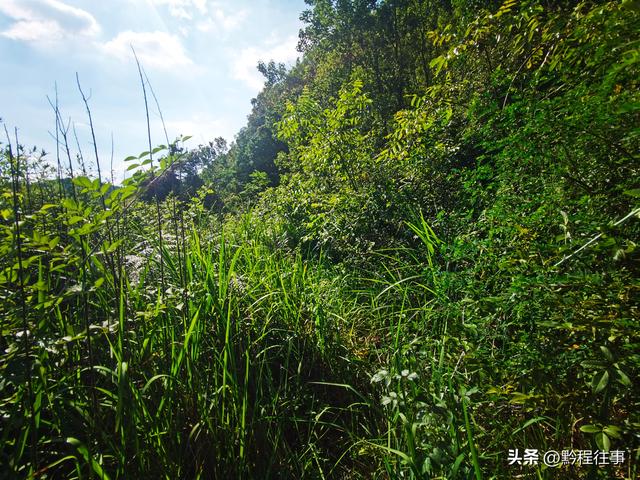 老人岩与磨刀岩：走过万仞崖壁之间不足一尺宽的险峻小道