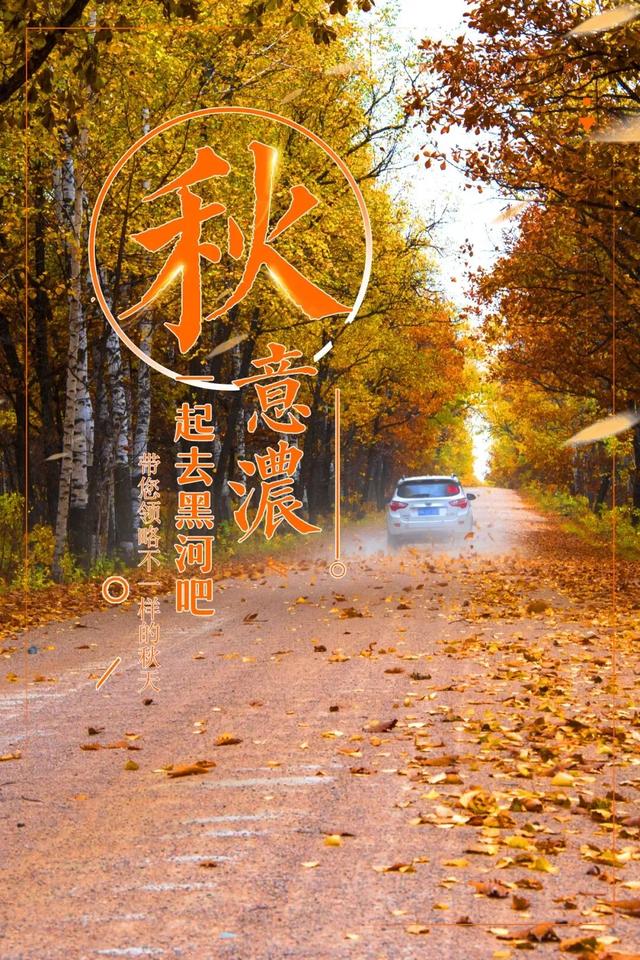董宇辉种草的有多美？黑河10处五花山秘境，秋日去了就不想走！