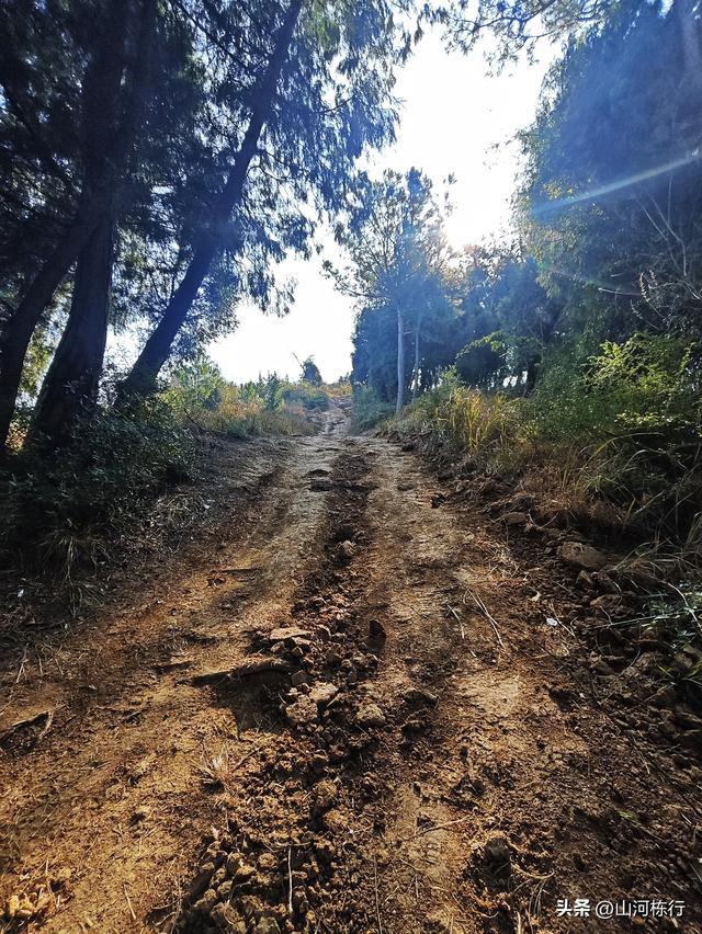 金堂老牛坡大环线，8.5km轻松登顶，看梯田、摘豌豆尖！