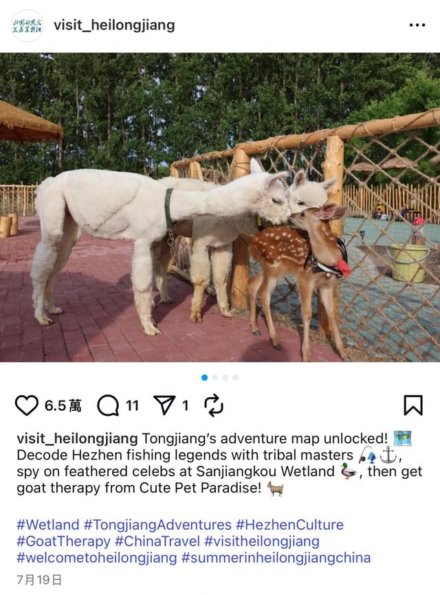 7月畅赏黑龙江Instagram传播力指数全国第4