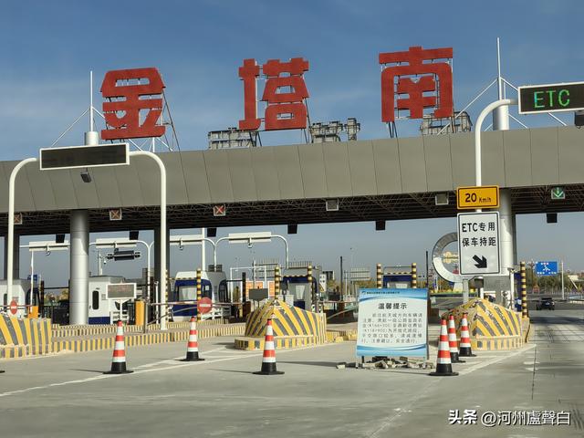 金塔胡杨林