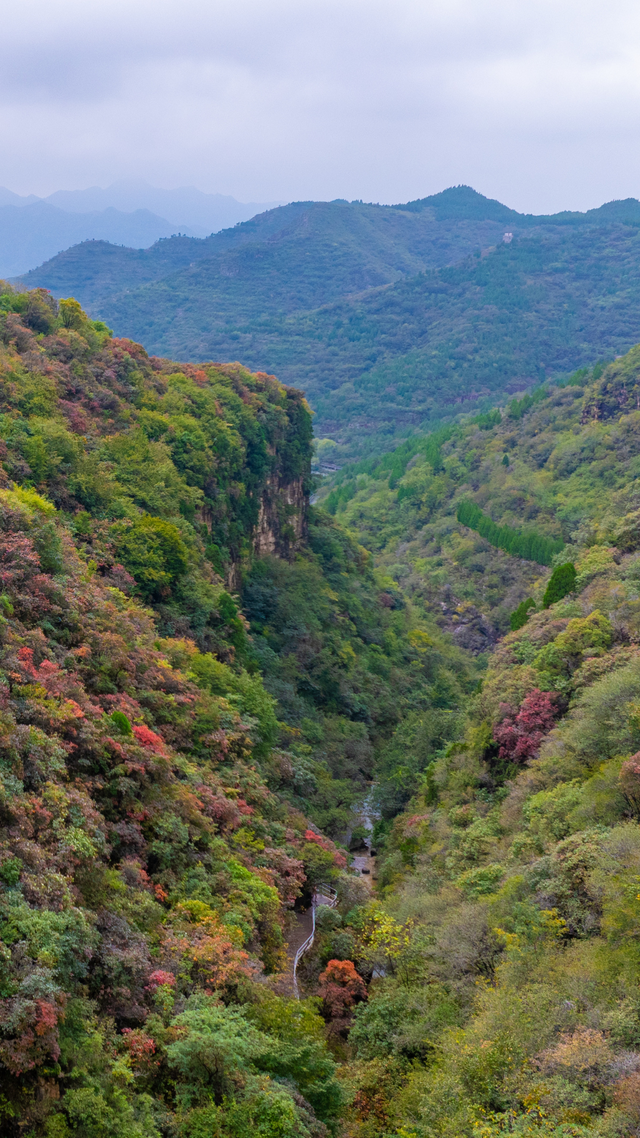 又是一年红叶季，潭溪山悬崖红叶正在加载中……