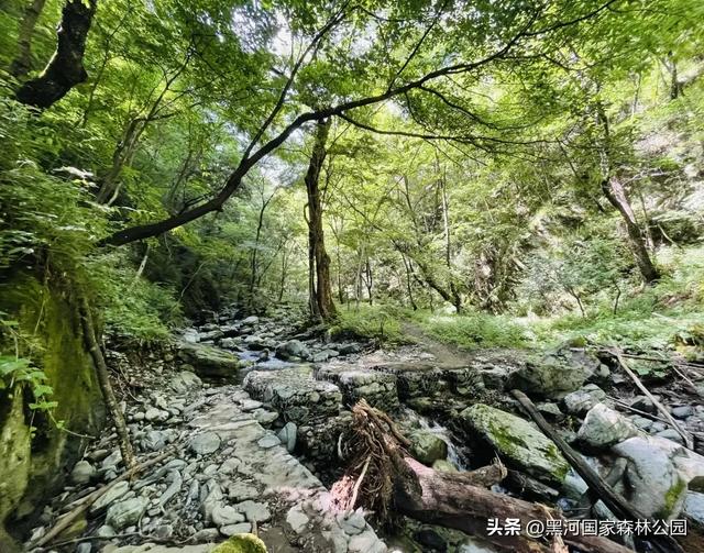 九月的黑河，一半是山野的绿意，一半是秋天的凉风