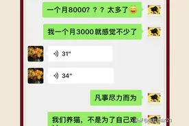 工资三千，居然月花费八千喂流浪猫，善良？不，你这是慈悲的枷锁图片