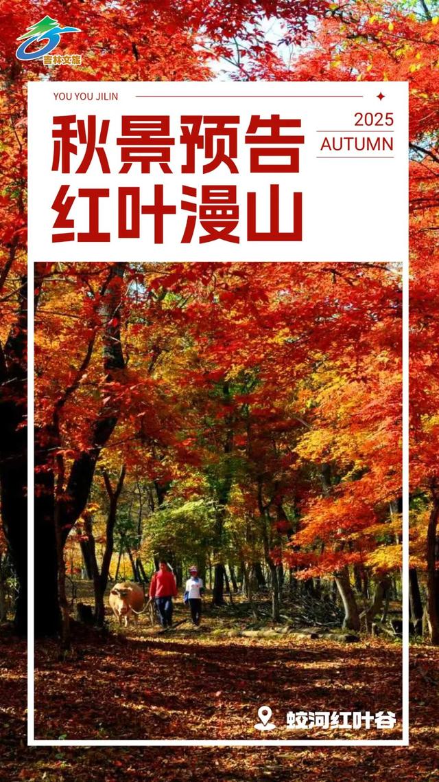期待值拉满！秋天总要来趟吉林吧！