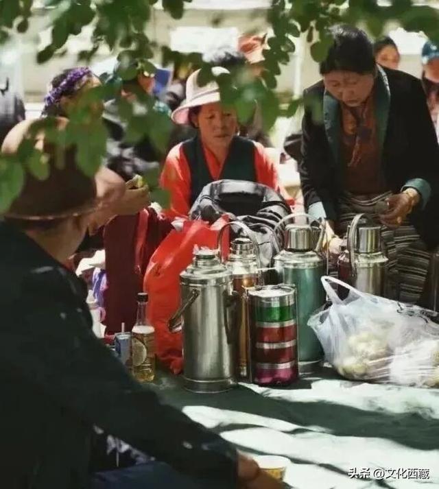 报名已开启！2025林芝雅江生态人文童行记活动来啦~