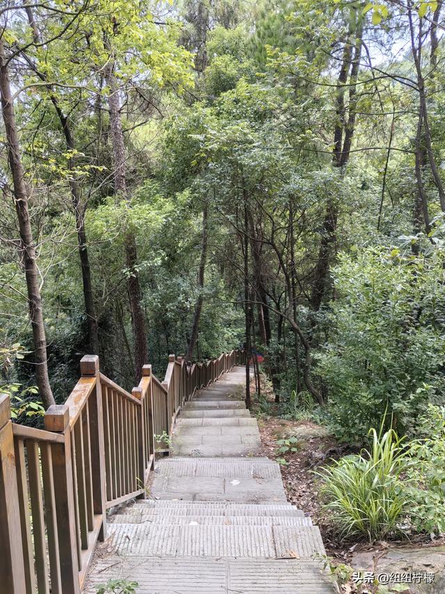 爬山，要量力而行，安全第一，爬歌乐山911更需如此