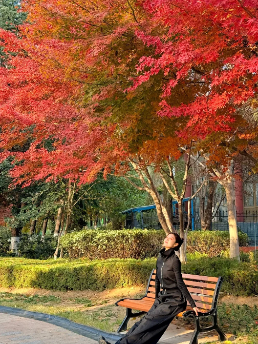 临沂「红杉」「红枫」浓度拉满，出片率100%