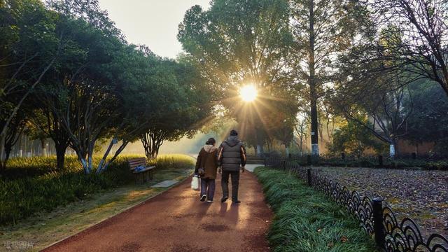 散步半个小时错了？医生提醒：过了60岁，散步要尽量做到这5点