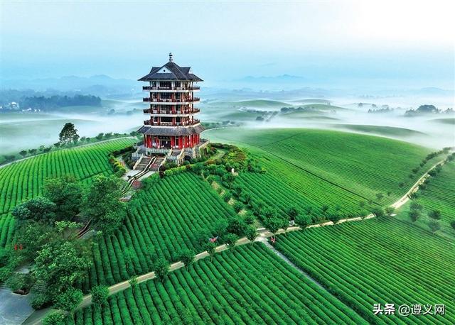 遵义：一瓶酒，一盏茶，一条路